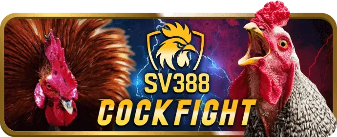 Live stream HD